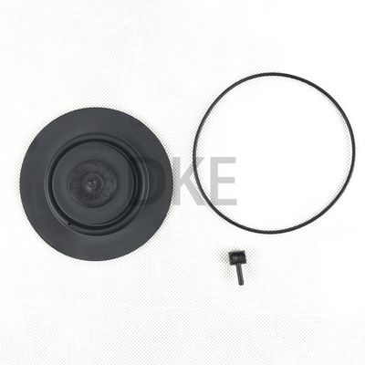 کیت های تعمیر و نگهداری دریچه پالس Goyen Type K2549 RCAC25 سری T3، DD3، FS3