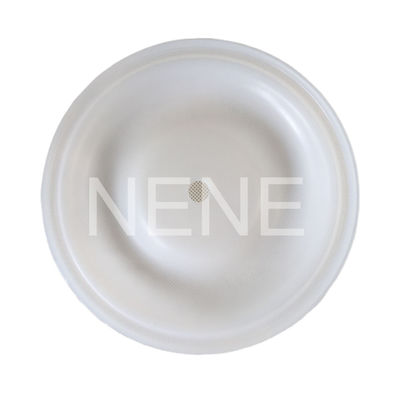 لوازم جانبی تعمیر دیافراگم هاسی 1050 سری 1 اینچ نیتریل/سانتوپرین/PTFE