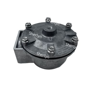 GOYEN دریچه پالس RCA35T RCA32T 1.5 اینچ دریچه پالس الکترومغناطیسی دریچه اسپری دریچه پنوماتیک