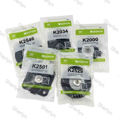 K2000/K2002/K2007 GOYEN CA20T دیافراگم لاستیکی 3/4 اینچ تعمیر دیافراگم شیر نبض