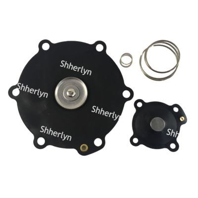 کیت تعمیر دیافراگم 2 اینچی مکیر DB116 DB16 VNP216 VEM216 VNP316 VITON سفارشی سازی