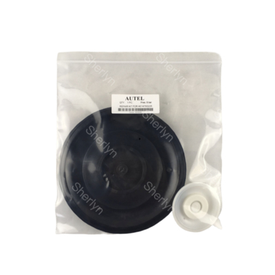 AE2818B دیافراگم دریچه پالس با مواد TPE 3/4' اندازه پورت مدل نصب شده