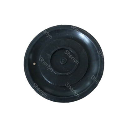 AE2818B دیافراگم دریچه پالس با مواد TPE 3/4' اندازه پورت مدل نصب شده