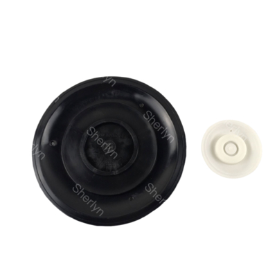 AE2818B دیافراگم دریچه پالس با مواد TPE 3/4' اندازه پورت مدل نصب شده