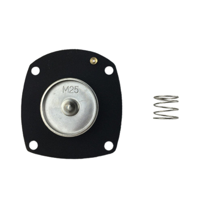 کیت تعمیر و نگهداری حرفه ای برای دریچه پالس مدل AE1818B در 3/4' اندازه پورت
