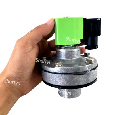 DMF-Y-25 1 اینچ BFEC شیر پالس جمع کننده گرد و غبار تعبیه شده 24 ولت DC 220 ولت AC