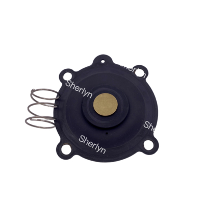 ASCO C131606 کیت تعمیر دیافراگم مناسب برای SCE238D004 SCE238D009 دیافراگم شیر آب NBR/VITON