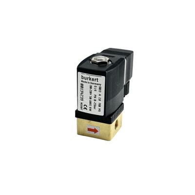 220VAC 8W 0-16bar Solenoid Valve Burkert 00134248, 6013 مستقیم عمل 2/2 به طور معمول بسته، G1/8 Thread، 2.5mm سوراخ، بدن فلز FKM مهر
