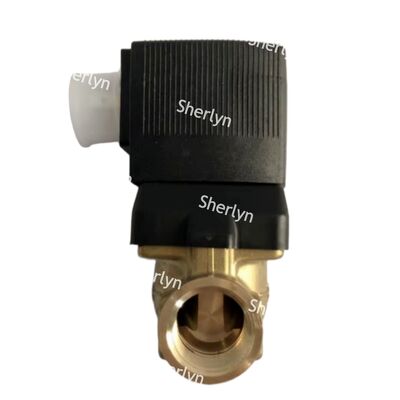 BURKERT 00221880 6281 شیر سولینوئید G1 2/2 NC شیر کنترل مایع با دمای بالا