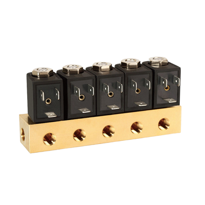 دریچه آب 1913BB161 شامل مواد مهر و موم FKM 1/8'' اندازه پورت 2/2 راه به طور معمول باز کار مستقیم