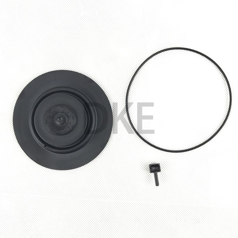 کیت های تعمیر و نگهداری دریچه پالس Goyen Type K2549 RCAC25 سری T3، DD3، FS3