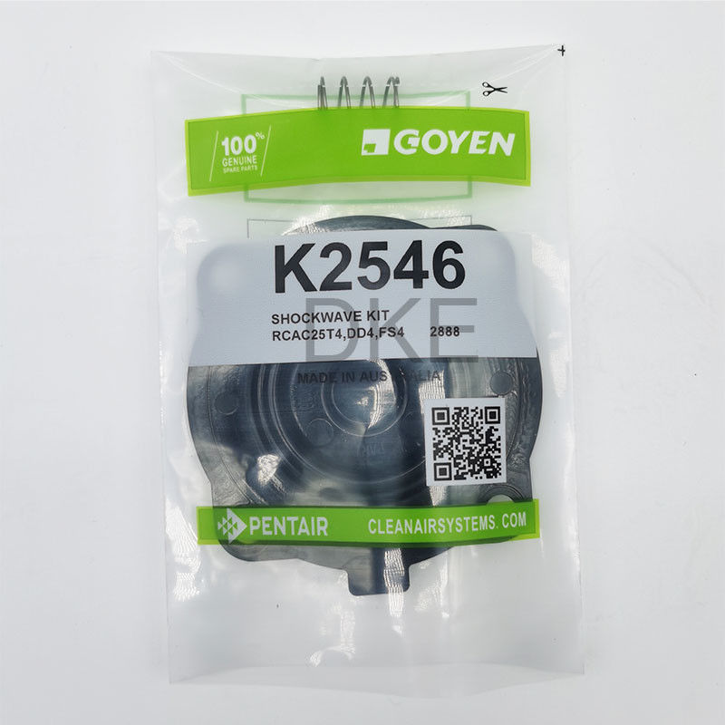 کیت های تعمیر و نگهداری دریچه پالس Goyen Type 2546 K2549 RCAC25 سری T3, DD3, FS3,