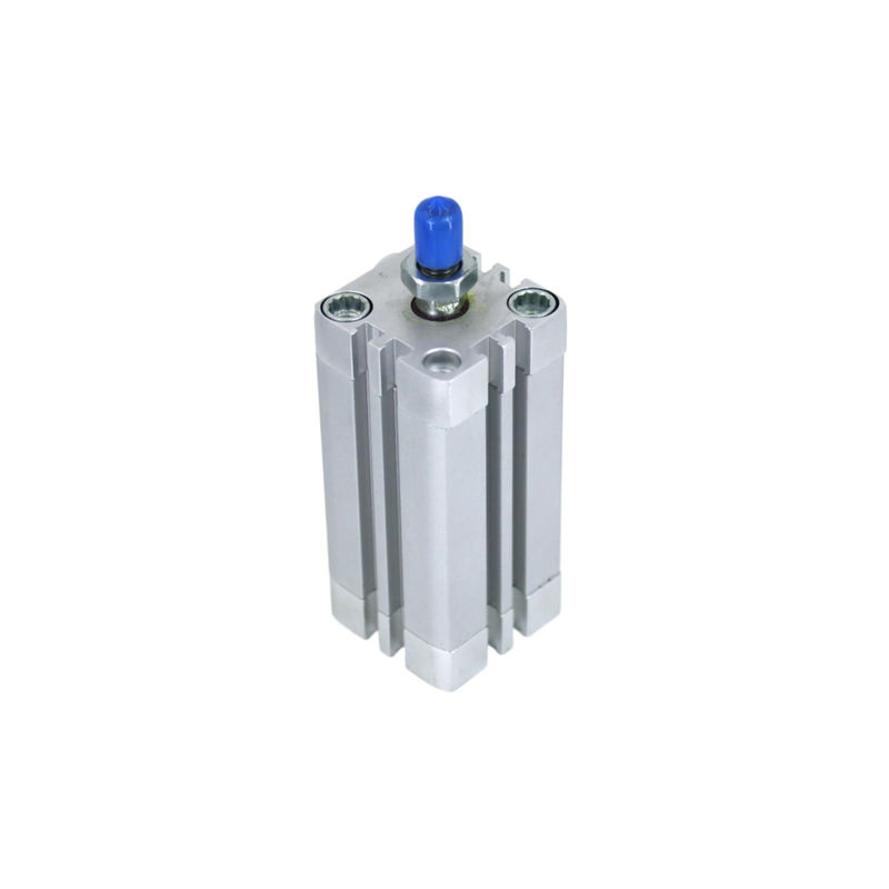 ADN-40-5-A-P-A 536289 Festo فشرده سیلندری ضربه 5mm قطر پیستون 40mm سیم میله پیستون M10x1.25