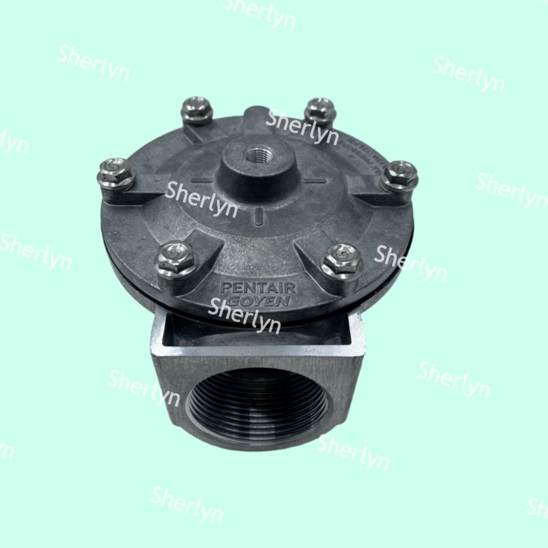 GOYEN دریچه پالس RCA35T RCA32T 1.5 اینچ دریچه پالس الکترومغناطیسی دریچه اسپری دریچه پنوماتیک