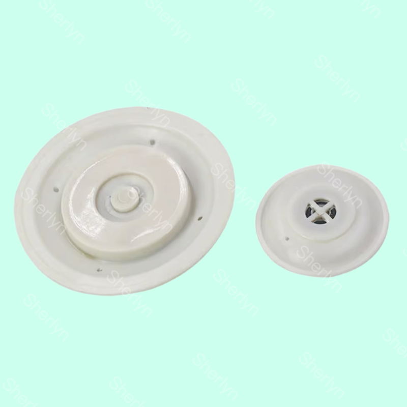 AE2818B دیافراگم دریچه پالس با مواد TPE 3/4' اندازه پورت مدل نصب شده
