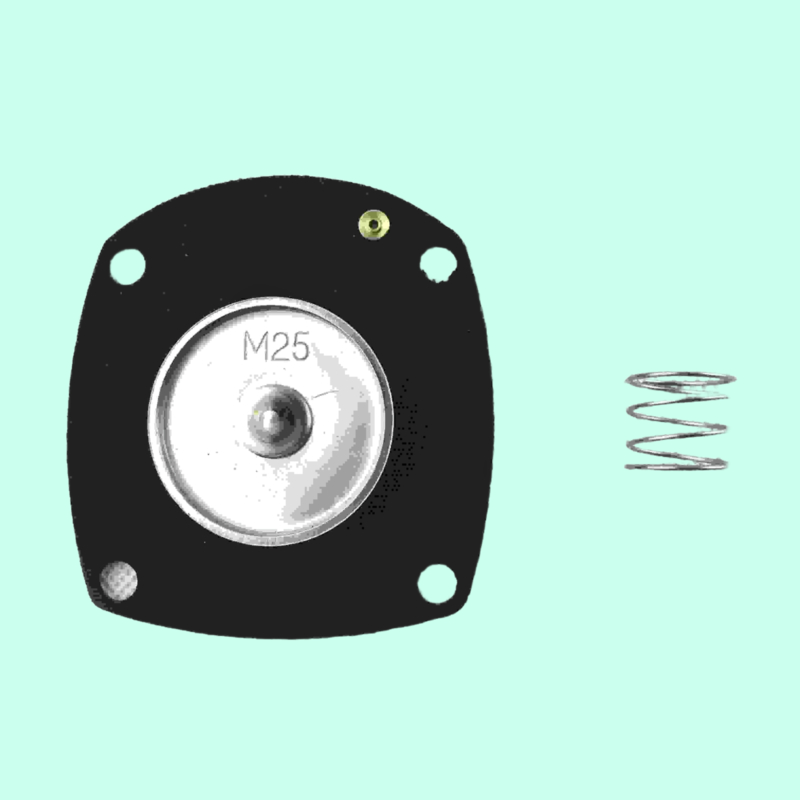 کیت تعمیر و نگهداری حرفه ای برای دریچه پالس مدل AE1818B در 3/4' اندازه پورت