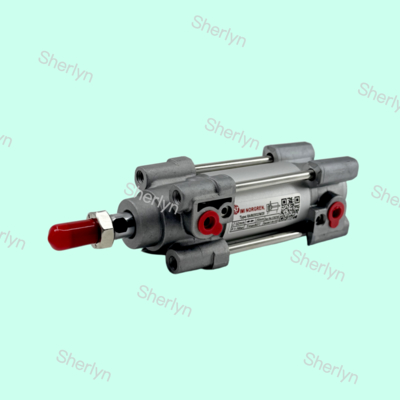RA802032/M/20 NORGREN سیلندر 15552 سری دو اثر 32mm قطر سیلندر