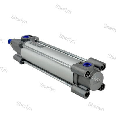 سیلانگر پنوماتیک دوگانه Norgren Piston RA/802040/M/75